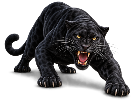 Snarling Black Panther in Attack Pose PNG